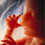 foetus pre born baby